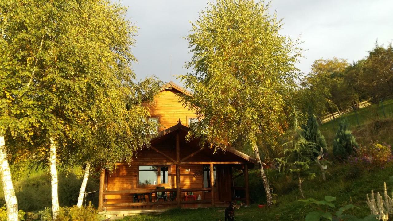 Casa Zara Vila Bran  Exterior foto